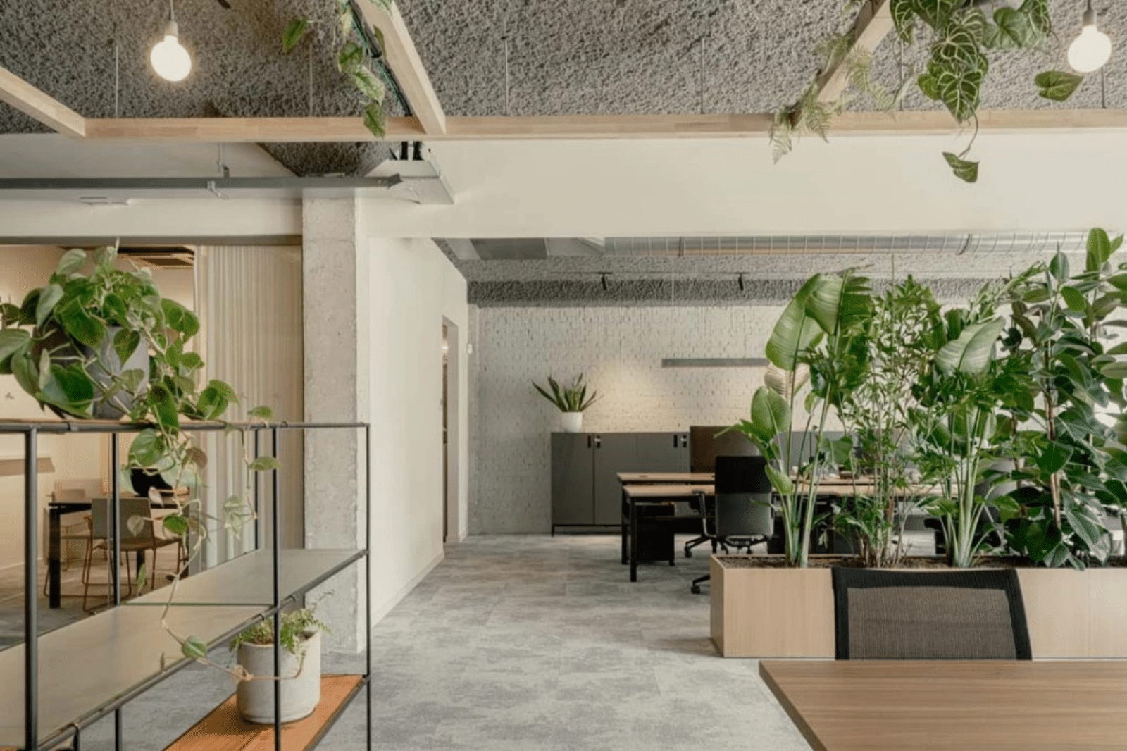 Open kantoorruimte met veel groen voor een HR-bedrijf