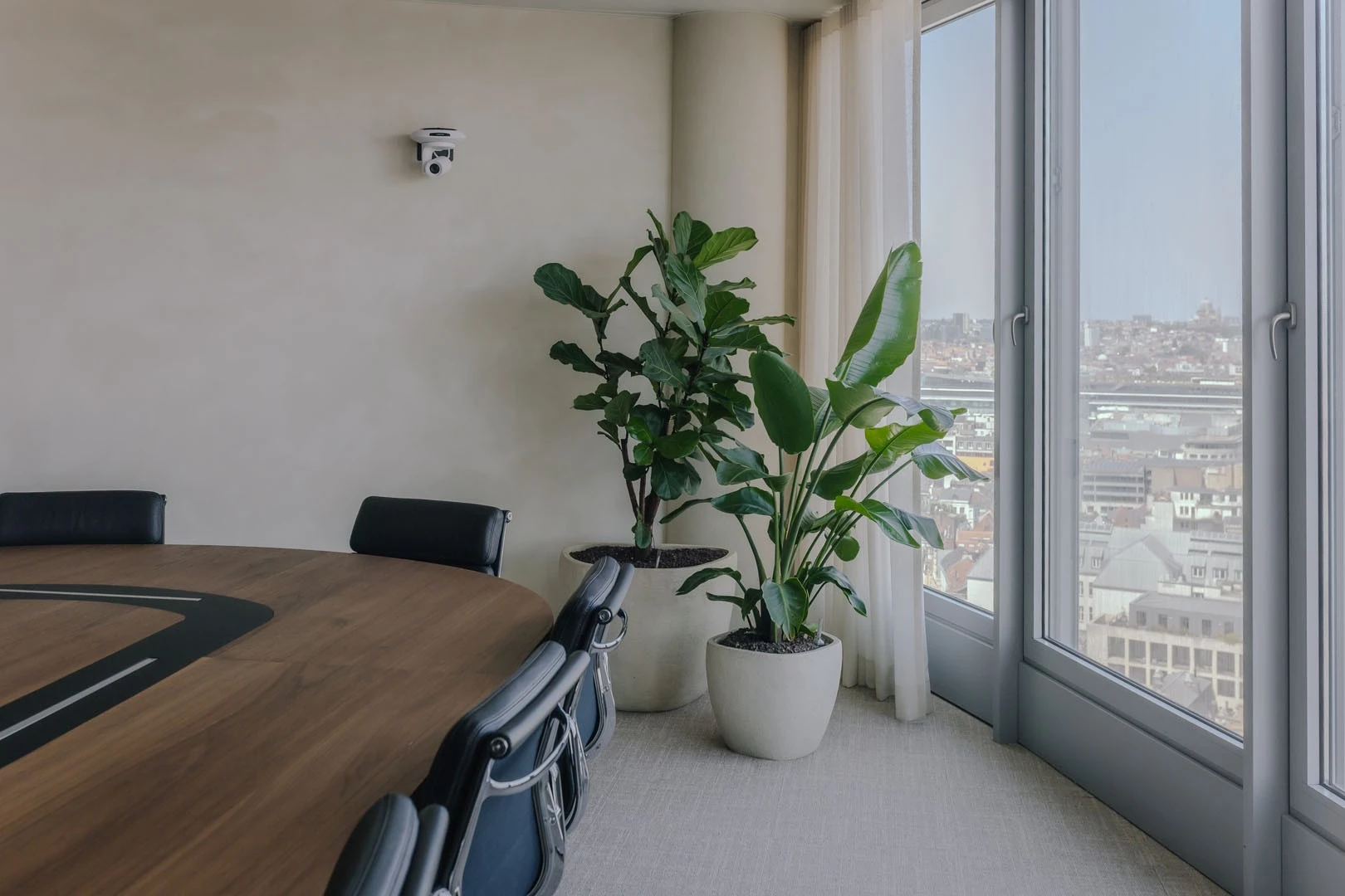 Vergaderruimte met veel daglicht en groen die bijdraagt aan focus en welzijn op kantoor.