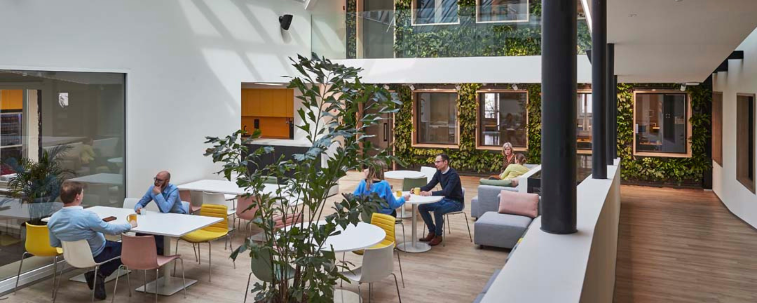 Duurzame kantoorinrichting met groene plantenwand en maximaal daglicht voor meer welzijn op de werkvloer
