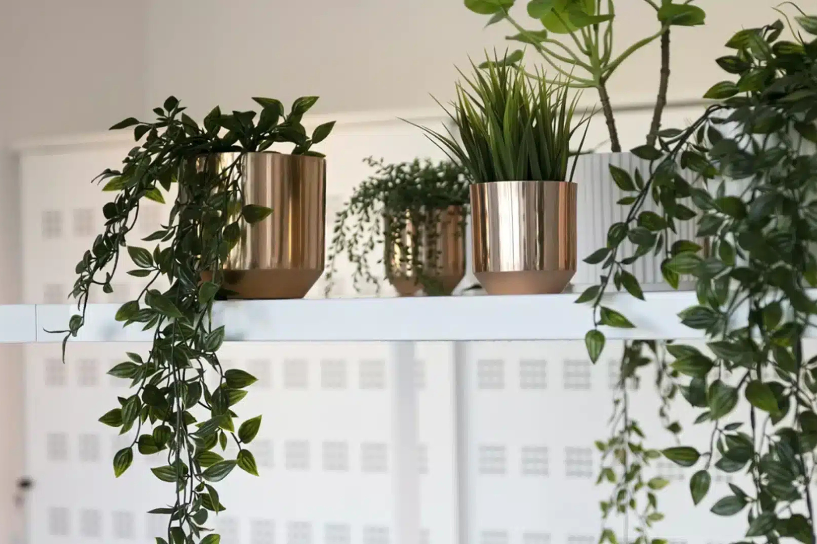 Planten op een wandplank brengen sfeer en karakter in een kleine kantoorruimte zonder vloeroppervlak in te nemen.