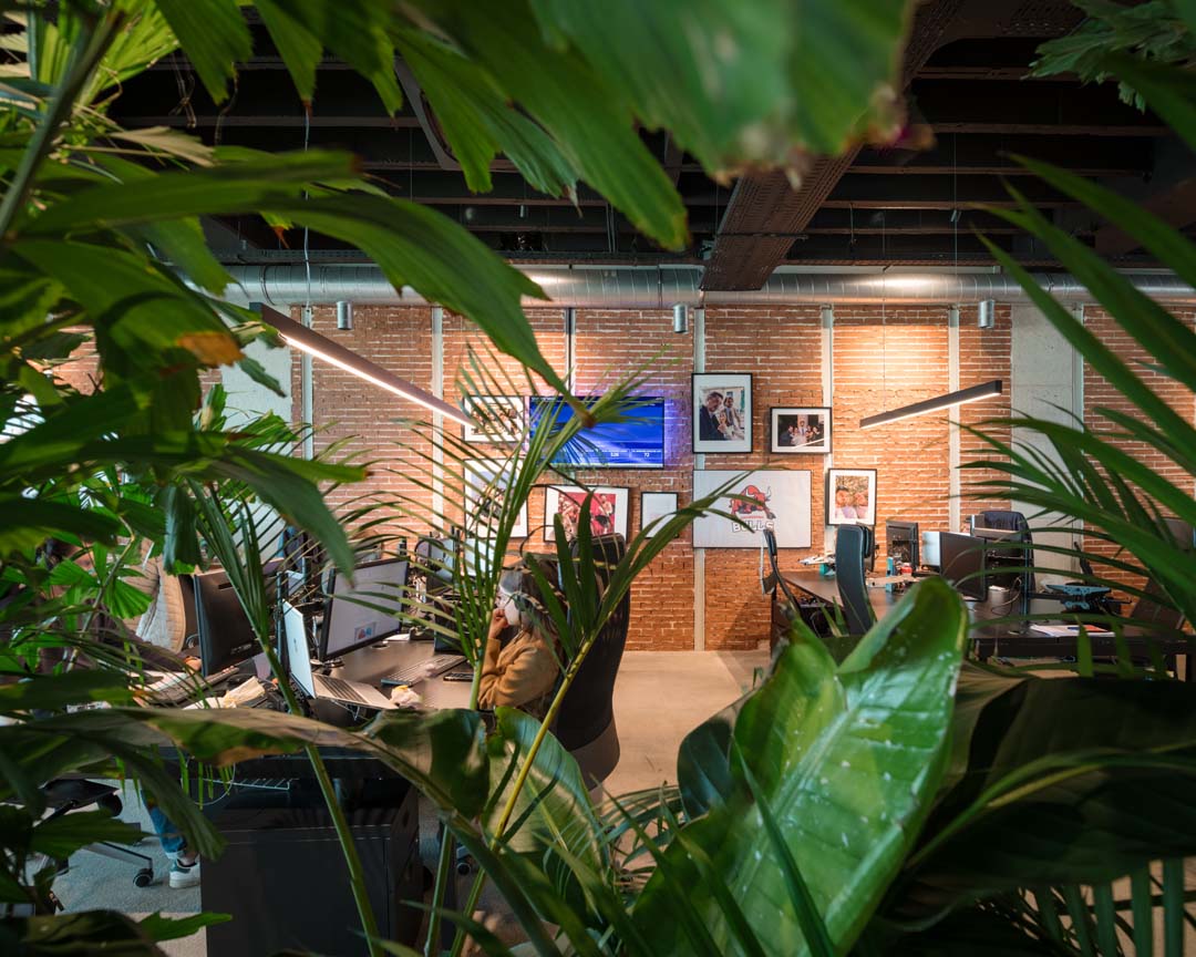 Medewerker werkt geconcentreerd in een open kantoortuin met planten die het omgevingsgeluid helpen dempen.
