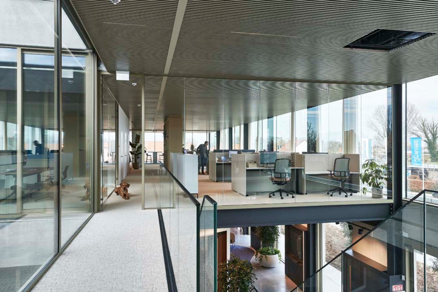 Open werkplekken met akoestische bureauschermen en glazen wanden die focus en geluidscomfort combineren.